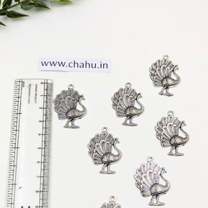 Oxidized Charm 