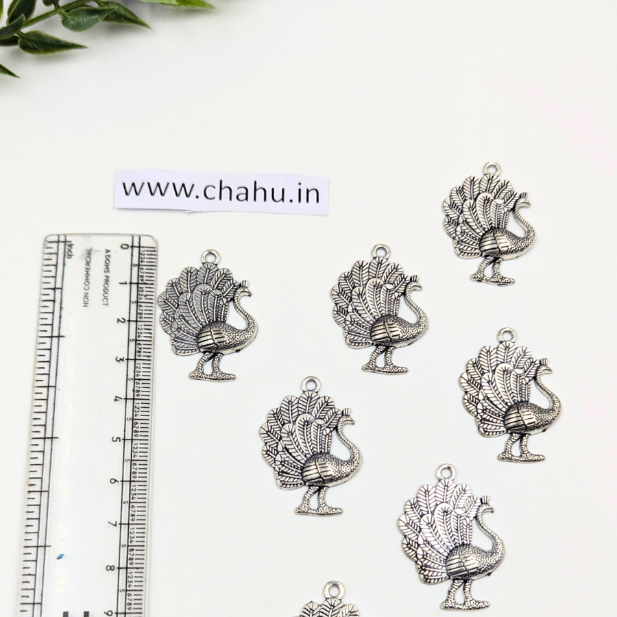 Oxidized Charm 