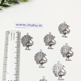 Oxidized Charm 