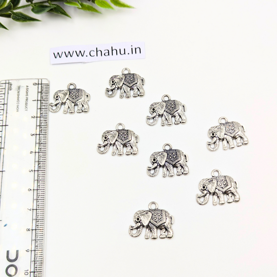Oxidized Charm 
