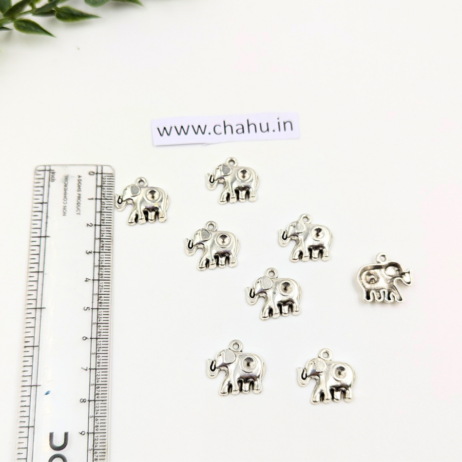 Oxidized Charm 