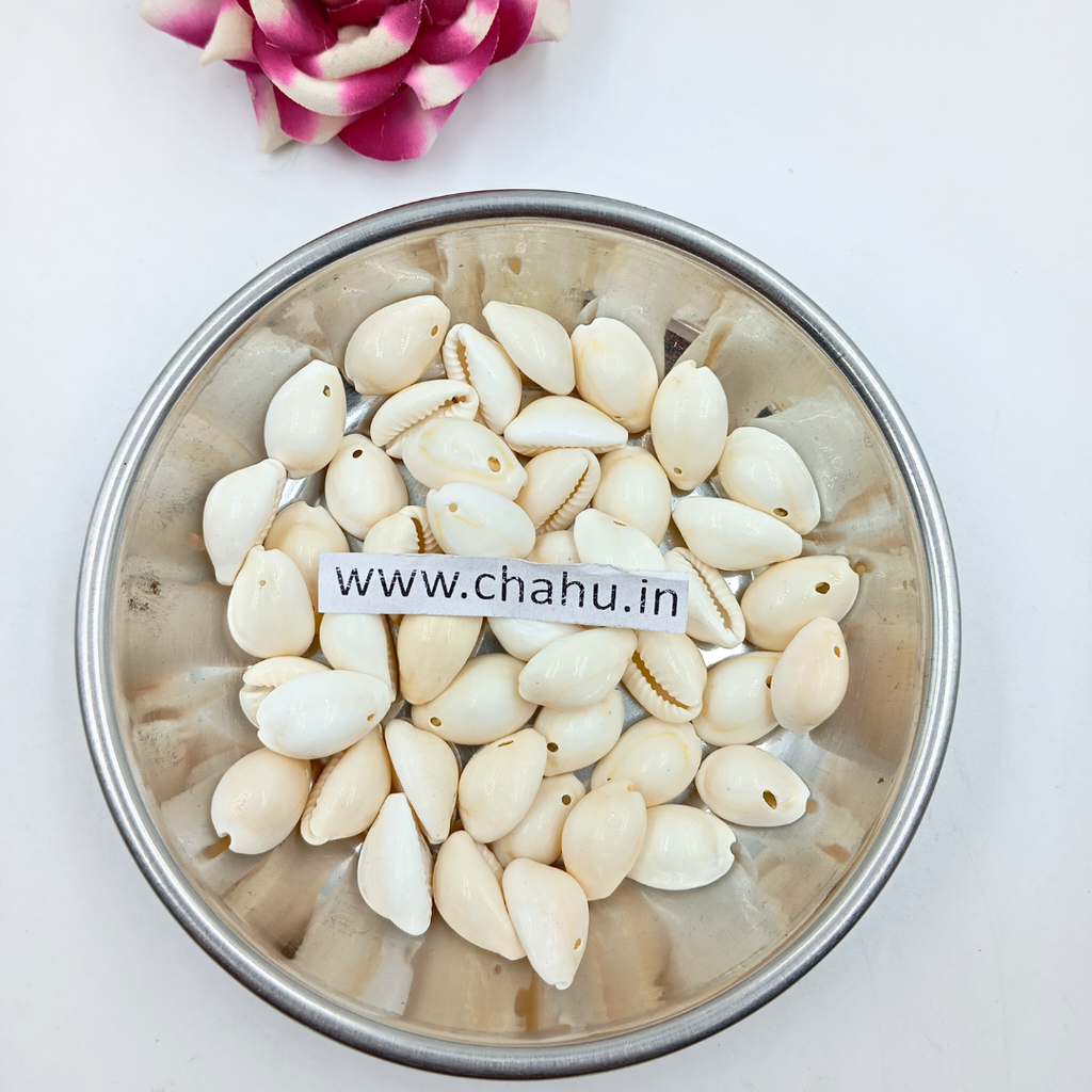 White Natural Cowrie - 100 Gram