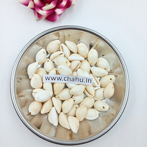 White Natural Cowrie - 100 Gram