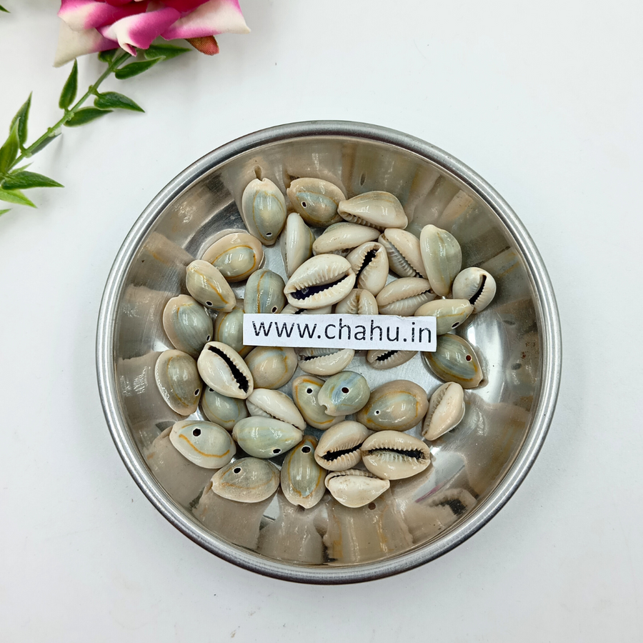 Natural White Cowrie - 100 Gram