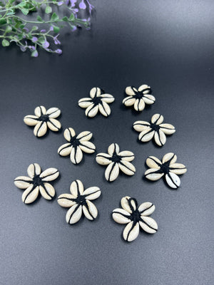 Black Cowrie Flower - 10 Peices
