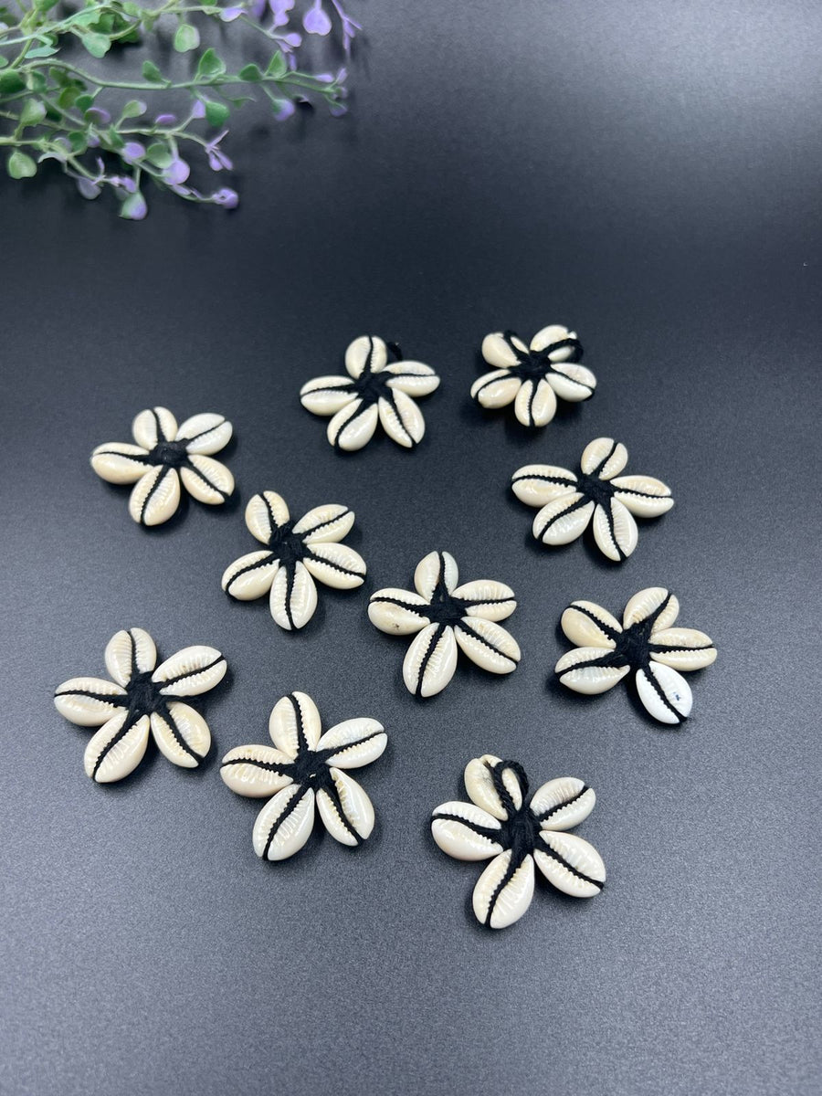 Black Cowrie Flower - 10 Peices