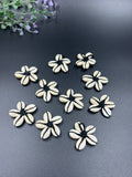 Black Cowrie Flower - 10 Peices